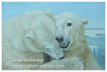 Miniature Oil Painting of Polar Bears by Judy Schrader