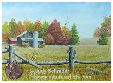 Miniature Oil Painting of a farm scene with a raccoon by Judy Schrader