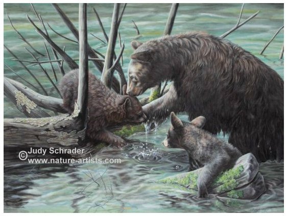 Oil Painting of blackbear with cubs in the water by Judy Schrader