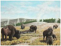 Nature painting of buffalo at yellowstone by Judy Schrader
