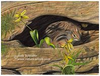  Wildlife Painting of a chipmunk by Judy Schrader