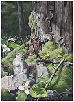  Nature Painting of gray squirrels and trilliums by Judy Schrader