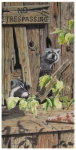 Wildlife Painting of Raccoons by Judy Schrader