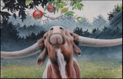 Original Miniature watercolor of a longhorn steer by Judy Schrader