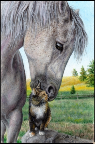 Original miniature oil painting of a horse and cat, miniature painting by wildlife artist Judy Schrader width=