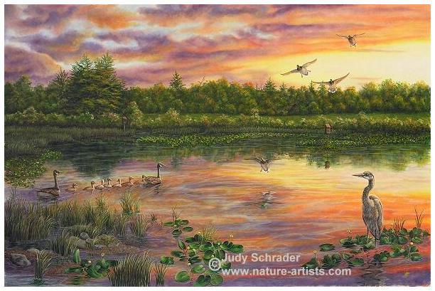 Original Painting of Akeley Swamp, Warren County, PA by Judy Schrader